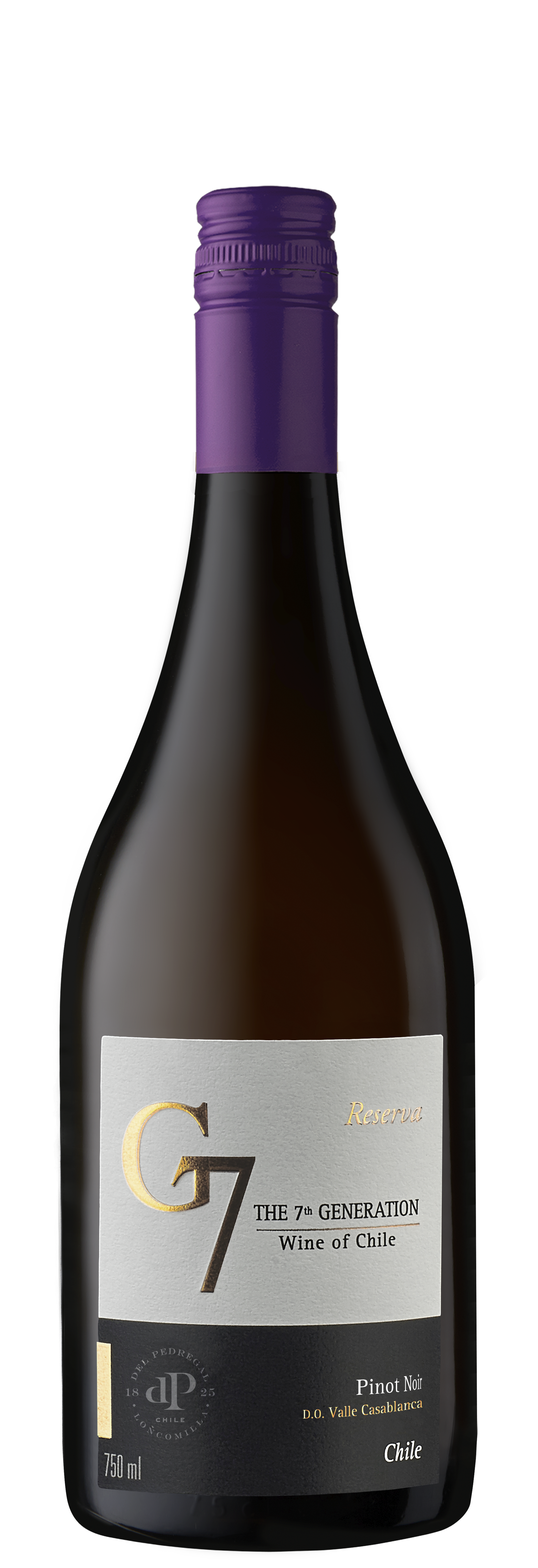 botella